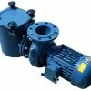 Certikin BP Commercial Swimming Pool Pump