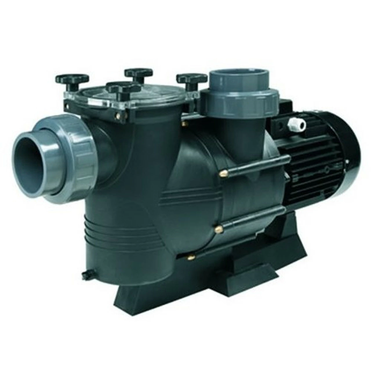 Certikin Hurricane Commercial Swimming Pool Pumps 1 Certikin Hurricane Commercial Swimming Pool Pumps